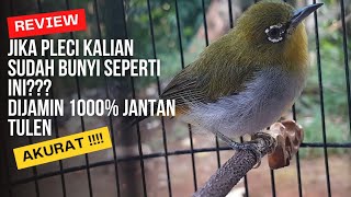 Download lagu How to distinguish male and female pleci from the sound mp3 Download lagu How to distinguish male and female pleci from the sound mp3