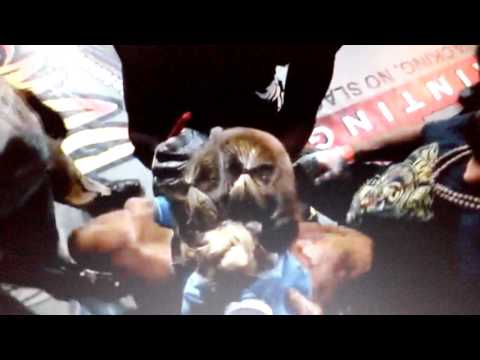 Kerri Kenneson vs Lisa Blaine