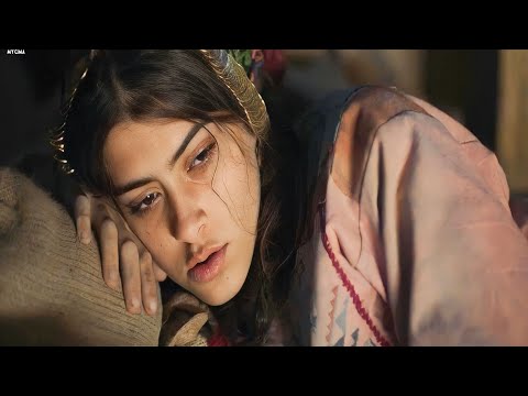 Nnnnnnn36258’s Video 174874834326 QZoNCGCqgnQ