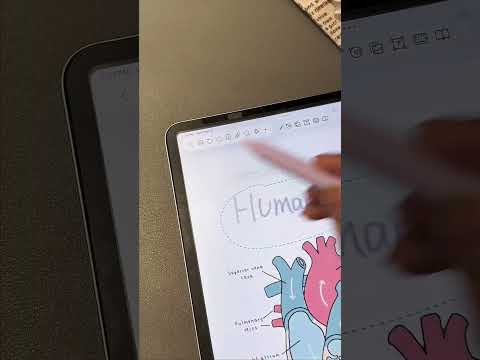 Freenotes New Feature!✨💗