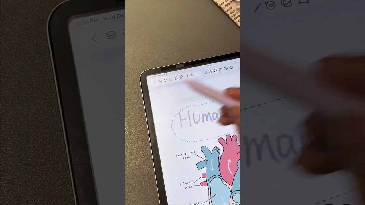Freenotes New Feature!✨💗