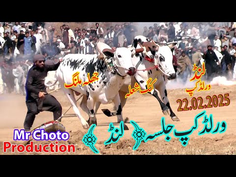 "EPIC Bull Race 2025: Witness the Most Thrilling Plays from Lund World Cup!"