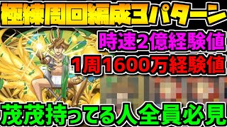 パズドラ 極練の闘技場 アメン2色陣ループで周回 パズルの組み方解説も تنزيل الموسيقى Mp3 مجانا