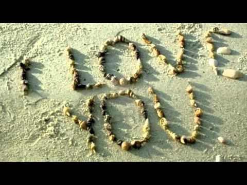 Marisa Monte - Amor I Love you - HD