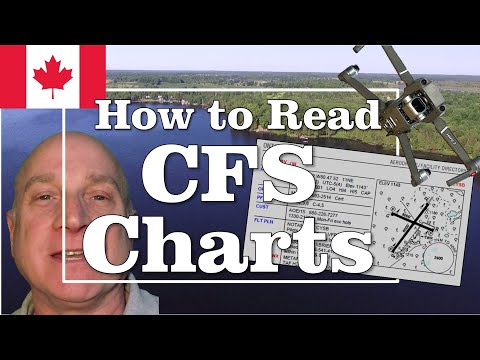 Cfs Escort Terms You Must Know Now