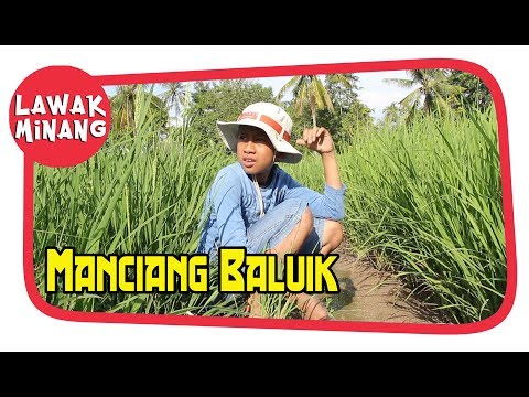 manciang-baluik-garundang-59