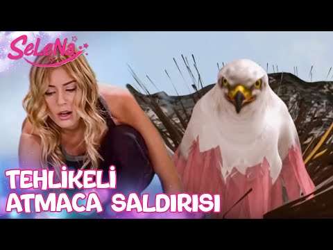 Selena, Atmaca yuvasına dokununca kıyamet kopuyor! - Selena 76. Bölüm