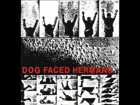 Dog Faced Hermans - Beautiful