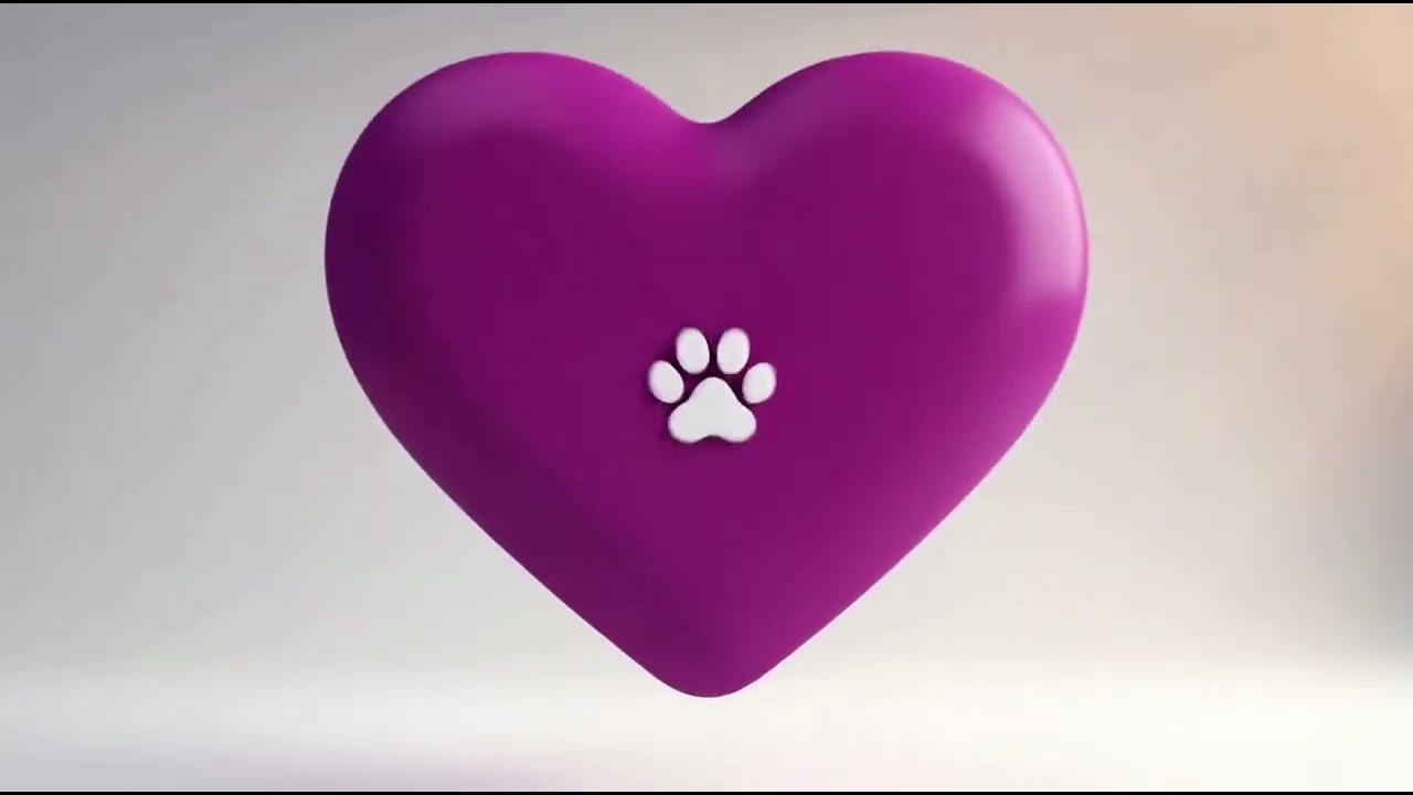 Gato raça SRD-ViraLata idade 2 a 6 meses nome Hope