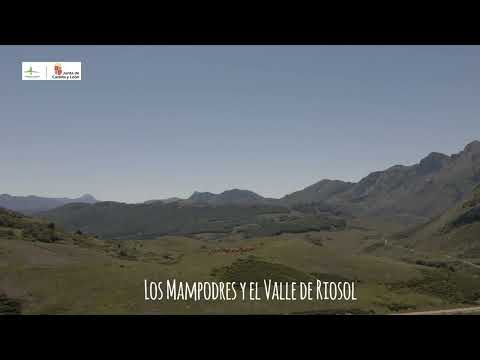 Los Mampodres - León