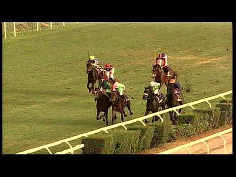 05/11/2023 - corsa 4 - premio GUIDO E ALESSANDRO BERARDELLI