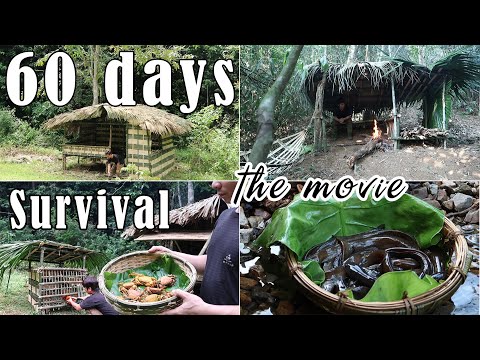 , title : '60 Day Survival Challenge | Survival Alone In The Rainforest'
