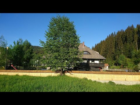 Pensiunea La Moară, Fundu Moldovei, Romania