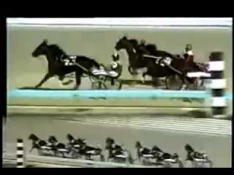 1984 Flamboro Downs  ON THE ROAD AGAIN Confederation Cup Buddy Gilmour