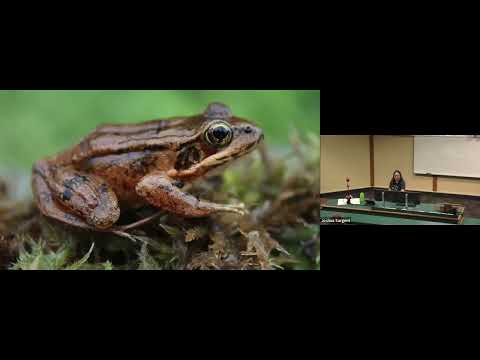 Frogs, bogs and people: Community science outreach on Haida Gwaii" - ERI Seminar - June 2024