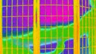 Clinic - Come into our room unofficial music video