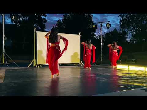DanzaViva VI  Reels resumen  Astradanza  Diciembre 2025