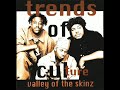Trends Of Culture Valley Of The Skinz