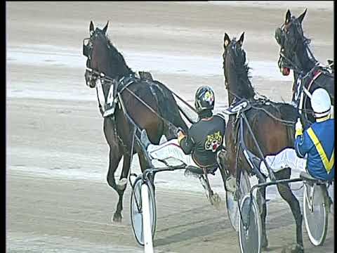 Trotto 10/11/2017 - 3ª corsa