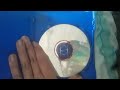 Space Chimps 2008 DVD Review