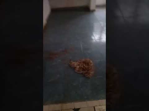 3-Bedroom Flat for Sale – Ori-Oke, Ejigbo