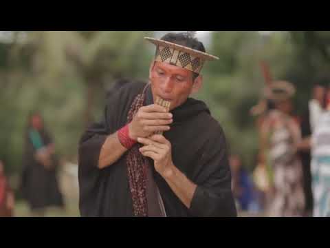 Roã Beninka - Benki Ashaninka