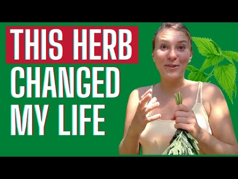 Nettle Benefits - The Plant that Heals Almost Everything!  - My Top 5 Benefits of Stinging Nettle