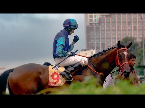 Fillies Championship Stakes 2019 - Well Connected