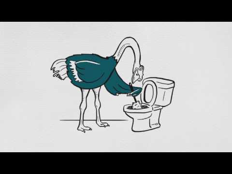 Clear Health Analytics - Customer Success Story