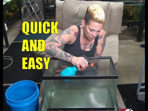 HOW TO Clean Used Aquariums