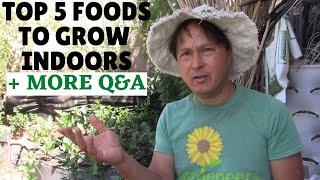 Top 5 Foods You Should Grow Indoors + More Organic Gardening Q&A