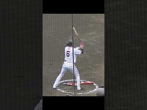 坂本勇人ネクストバッターズサークルで投手に合わせてスイング〜2024年7月9日G球場