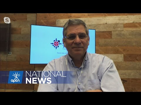 Insight into the US presidential election | APTN News