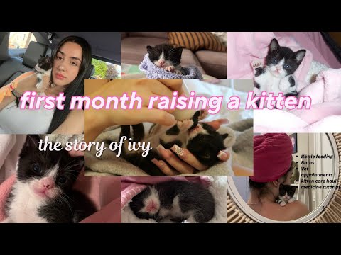 I saved a new born kitten🩷 sharing everything I learned along the way
