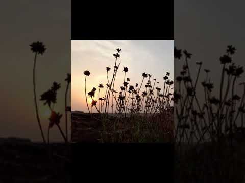 Silhouette | Nature Sound | senshots | senthil mani