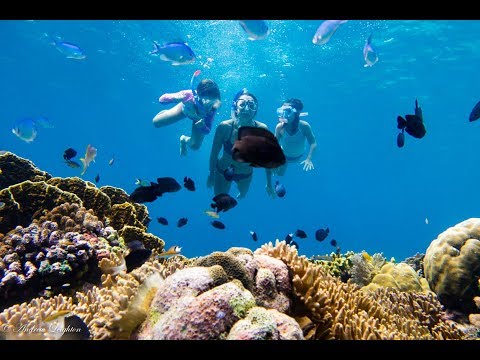 Superb Snorkeling in the Philippines, Siquijor in November 2017