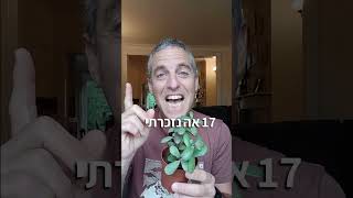 הצמחים הקלים ביותר לגידול - 20 סיבות למה כדאי לגדל סוקולנטים
