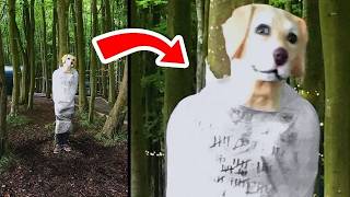 Las Cosas Más ATERRADORAS Encontradas En El Bosque