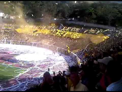 "Salida Avalancha Sur (D. Tachira 2 R. Esppor 0) 05/12/10" Barra: Avalancha Sur &bull; Club: Deportivo Táchira