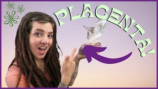 WHAT HAPPENS TO THE PLACENTA AFTER BIRTH? || Oh so many options!
