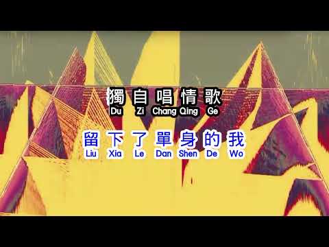 林志炫  《 單身情歌 》  dan shen qing ge