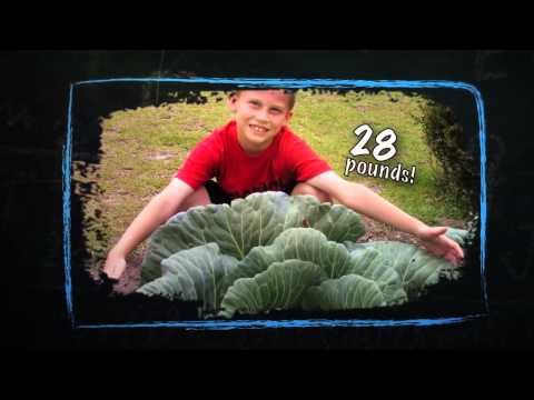 , title : 'Bonnie 3rd Grade Cabbage Program Teacher Information'