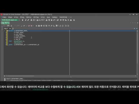 Sqlgate Features Multiple Query Execution