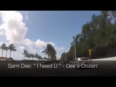 Sami Dee: '' I Need U '' - Dee's Cruisin' Mix