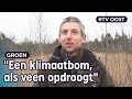 Dit is waarom hoogveen veel belangrijker is dan bomen bij CO2-opname | RTV Oost