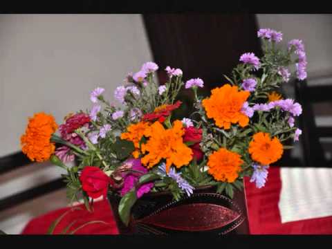 Pensiunea Dor de Munte Ranca ~ Prezentare 2011 »©Tivig Alin®™«.wmv