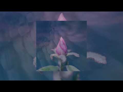 Equanimous, Bliss Looper - Sentimental