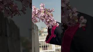 Black Embroidered Lawn Kurta Set - Video 1