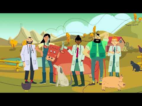 What can we do to fight antimicrobial resistance (AMR)?