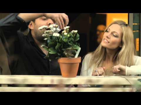 Fenomenon - sleepy meadows of buxton